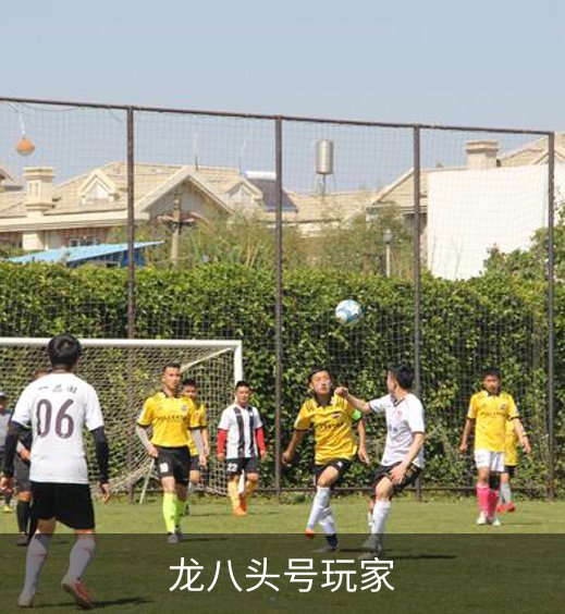 了解龙八头号玩家